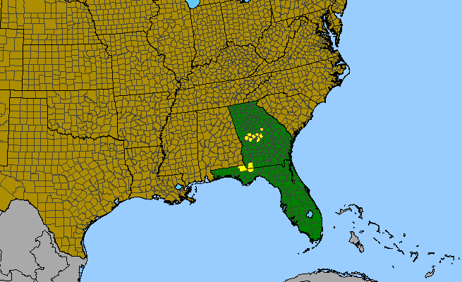 The range of Silene catesbaei